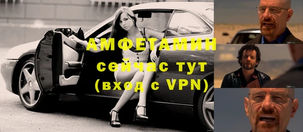 сатива Новозыбков