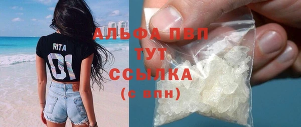 Альфа ПВП Новодвинск
