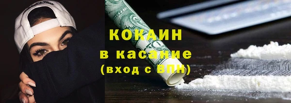 сатива Новозыбков