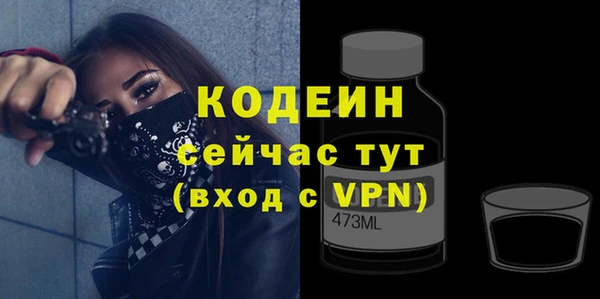 сатива Новозыбков