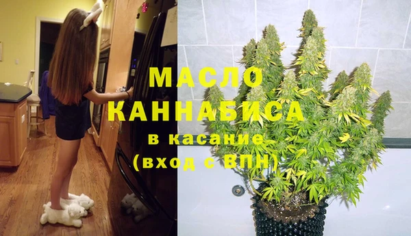 сатива Новозыбков
