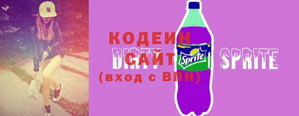 сатива Новозыбков