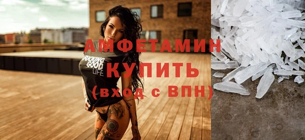 сатива Новозыбков