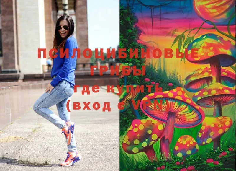 shop клад  Нестеров  Галлюциногенные грибы Magic Shrooms 